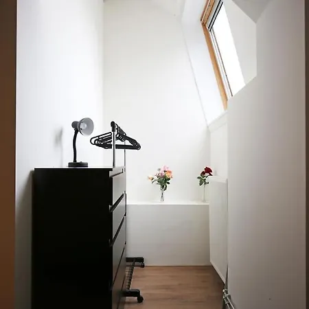 B * プルムレンド